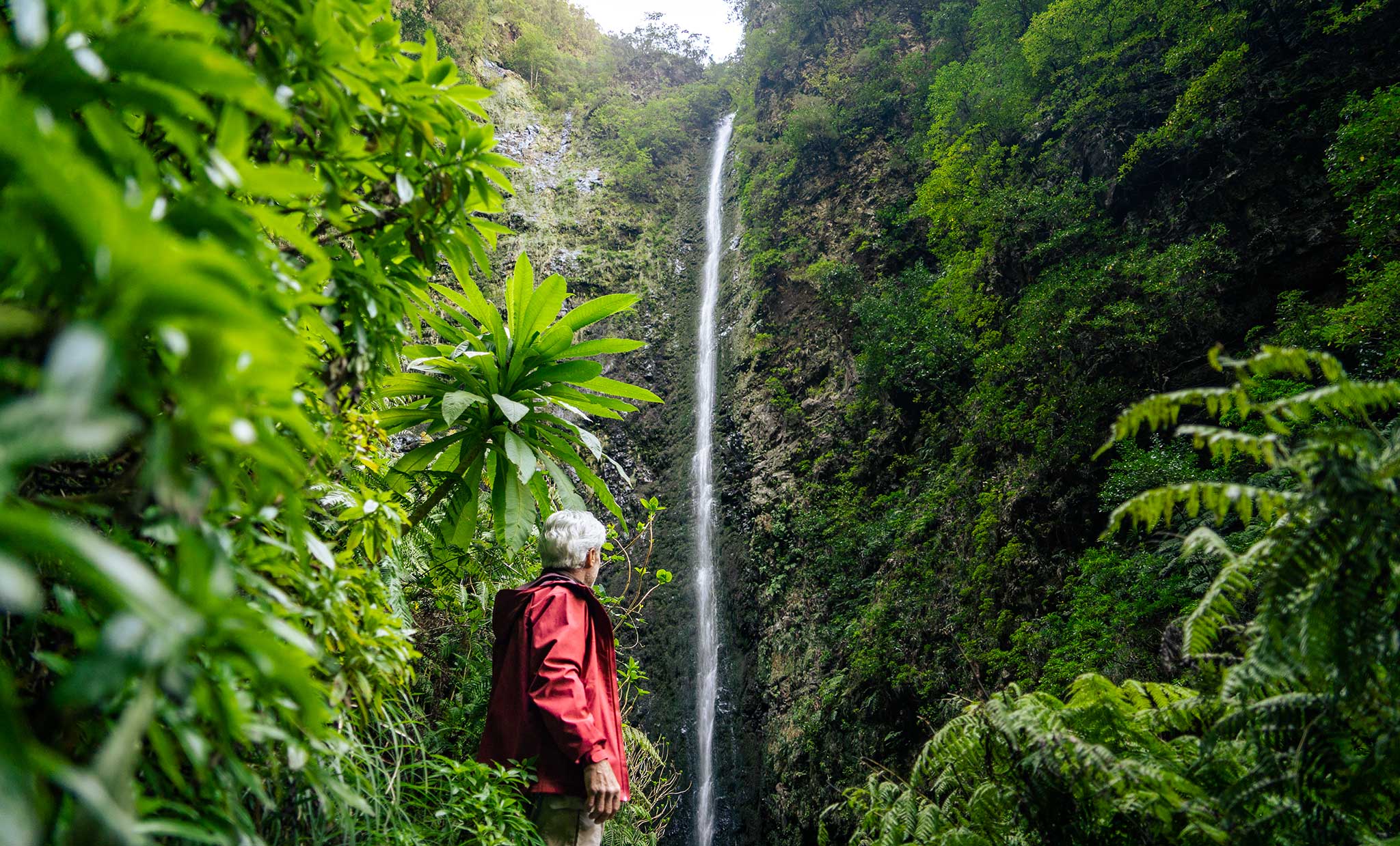 Hiker looking at a waterfall on the Levada do Caldeirão Verde in Madeira